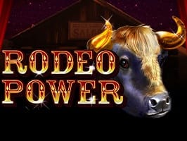 Rodeo Power screenshot